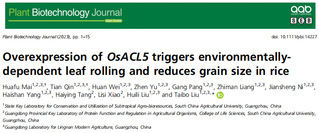 陶利珍/刘太波课题组揭示水稻热...